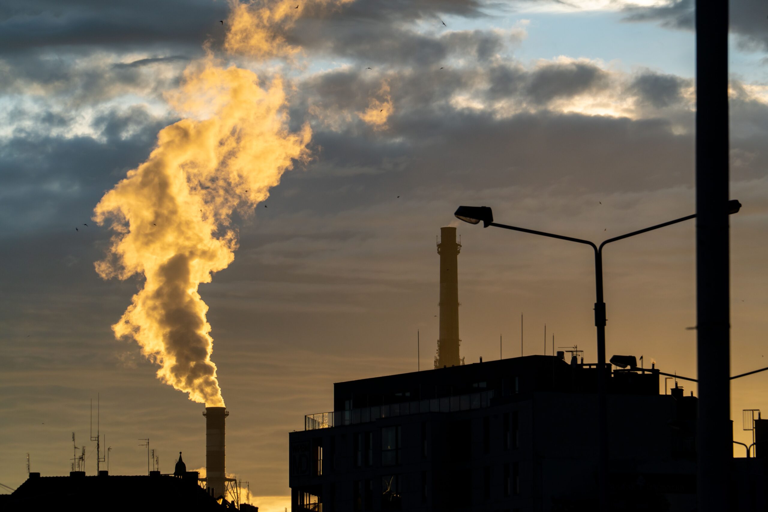 carbon caputre pexels piotr twardowski 3543863 5332180