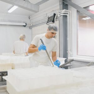 dairy industry water and wastewater treatment solutions from GreenPebble Technologies